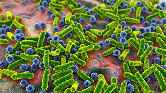 Our garden's secret lives, and why microbes are the real MVPs!