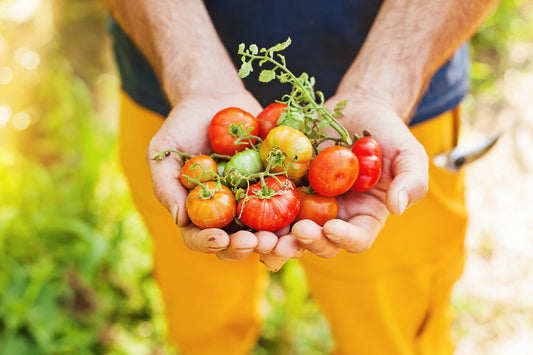 Can Gardening Actually Save Me Money?